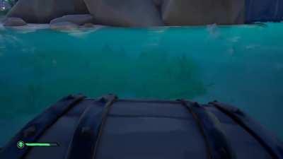 truly we are the greatest pirates