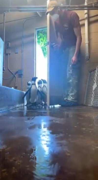 The foot taps.. 😊 Sound on