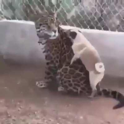 A little outta his league.