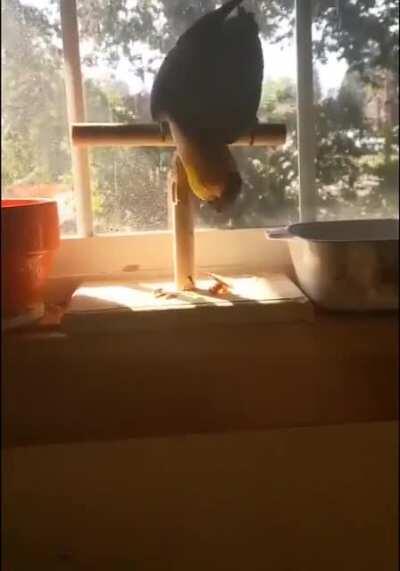 WCGW with destroying the thing you're standing on