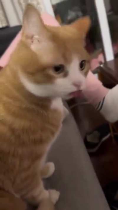 Why is he sticking his tongue out like that