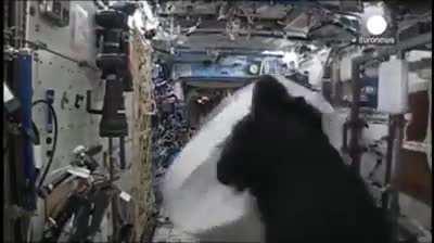 Astronaut Mark Kelly once smuggled a full gorilla suit on board the International Space Station. He didn't tell anyone about it. One day, without anyone knowing, he put it on.