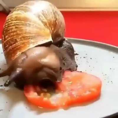 onmonmnomnmnonmnonmnomn