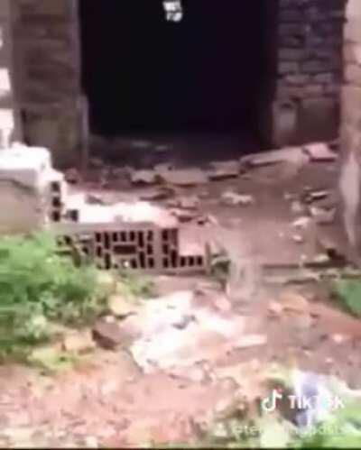 Pongan videos de DROSS uwuw