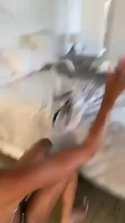 Flipping over your bed while high