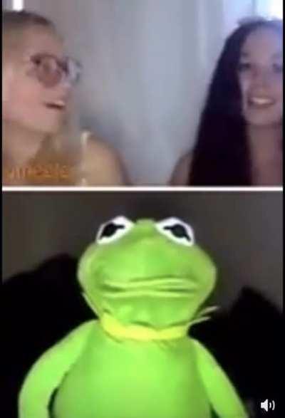 Kermit is up to something questionable...