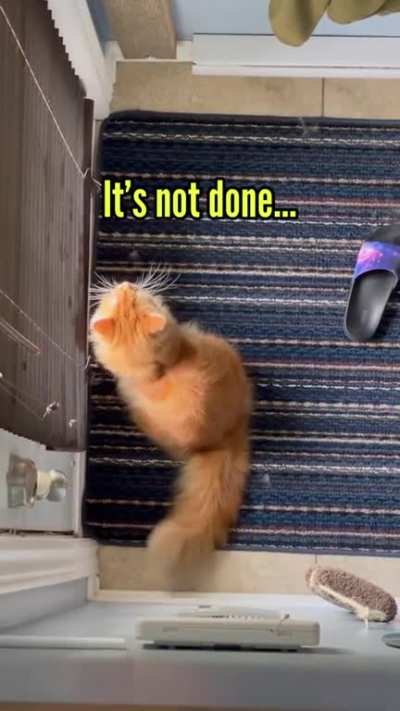 I spy with my little eye