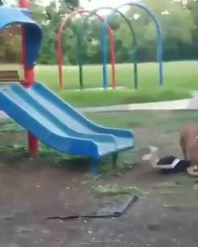 Oops, didn’t mean to!