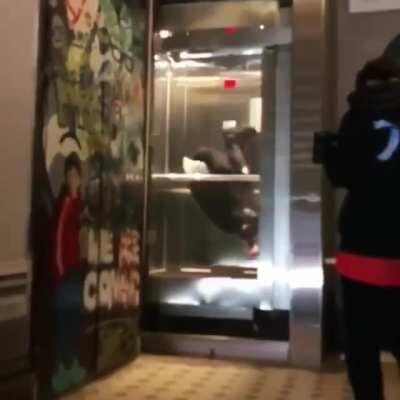 Trying to show off with a back flip