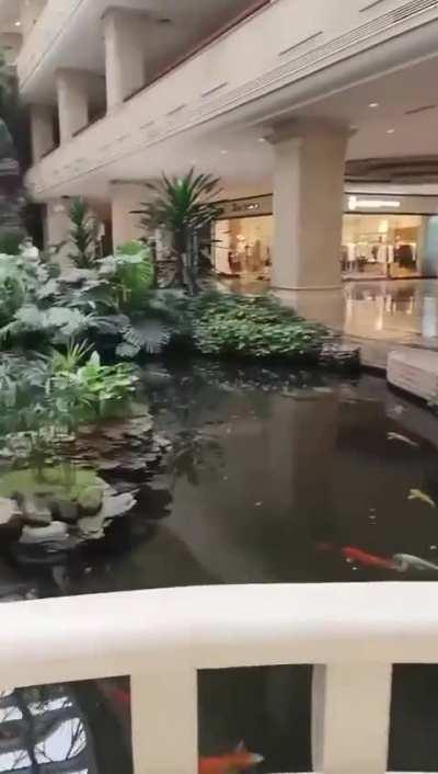 nice spot to park your car