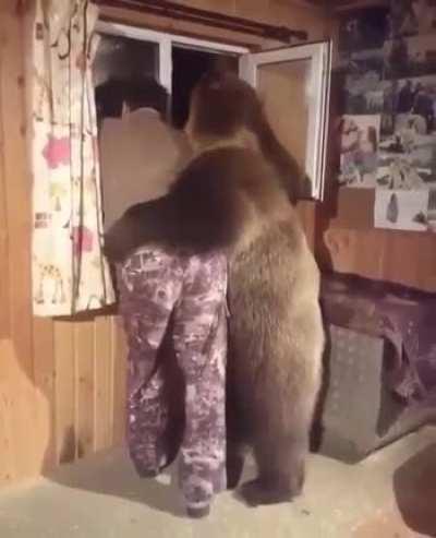 How are you doing bro🐻