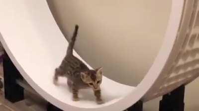 HeARtLeSs cOrPorAtioN eXpLoItS cHilD lAbOuR tO gEneRaTe pOweR