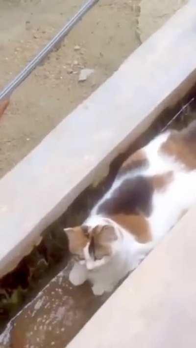 So that's what's clogging the gutter.