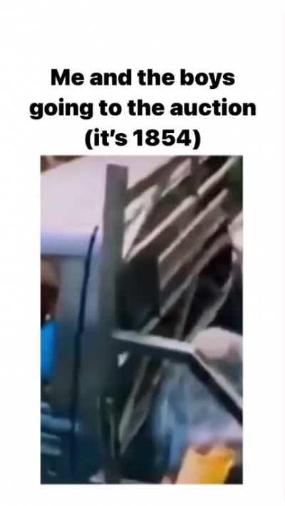 👴🏻👴🏻👴🏻