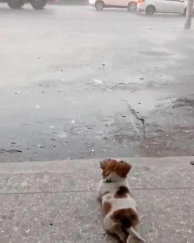 Just watching it rain