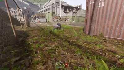 I come from nowhere so my enemies can be everywhere.