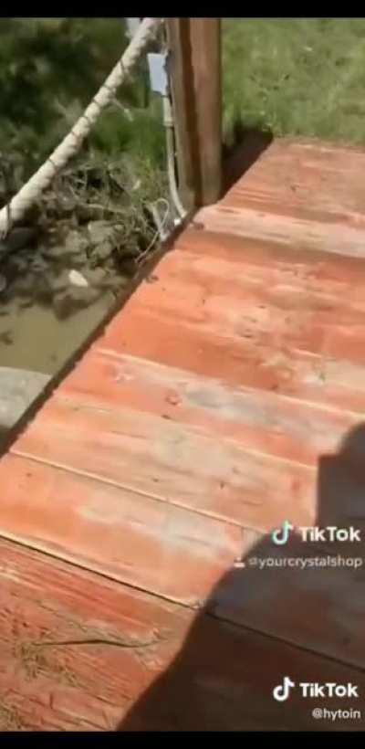 Is the cat saying “Oww”?