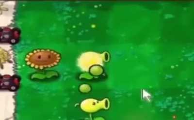 Just some normal pvz gameplay