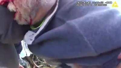 LAPD officers pull pilot from plane seconds before train crash in dramatic video