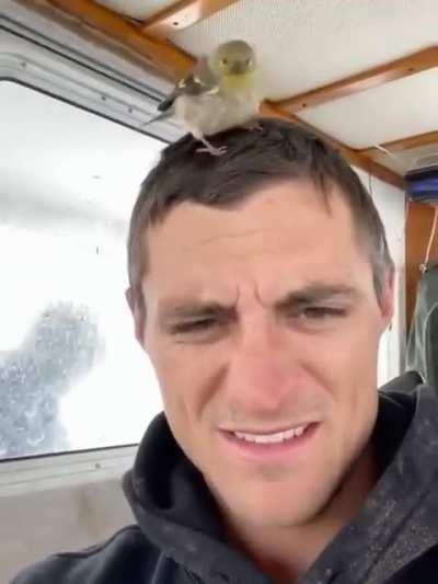 5th generation lobster fisherman is also birdbro