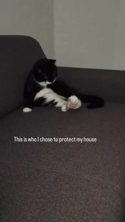 Preparing the weapons