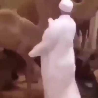 Bang smack - The Song