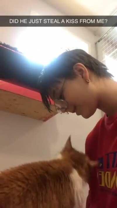 Cat kiss