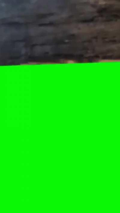 Showing something under the table (green screen, no sound)