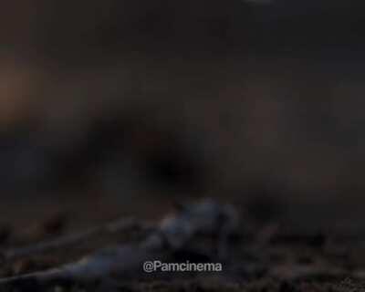 I thought this video would be appreciated here