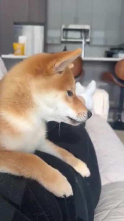 Ruby's learning to talk! Maybe we should call her 