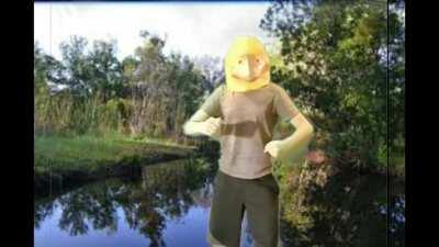 I have a greenscreen and a duck mask and not enough time to bring this to its full potential