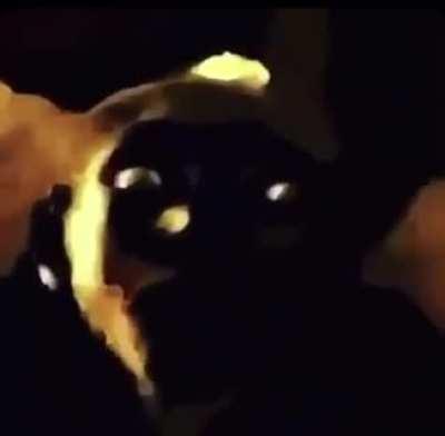 cursed_face