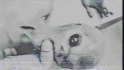 Alien Autopsy Gone Wild