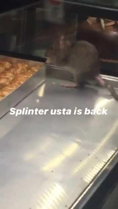 splinter usta baklava yiyor