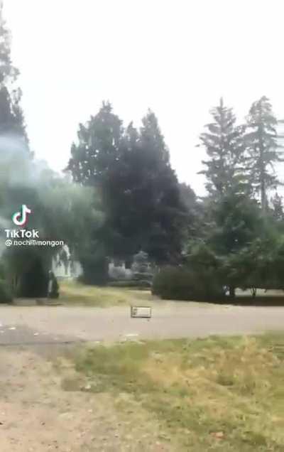 What could go wrong if we put fireworks in a microwave?