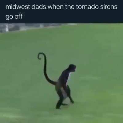 that walk is similar