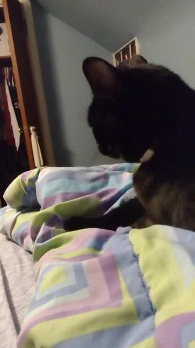 When I'm hungry but he's comfortable 