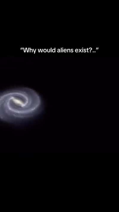 No one is afraid of them