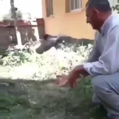 Releasing a bird back into the wild