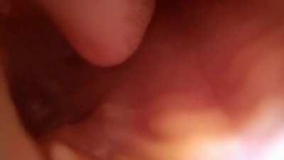 bL00dtHirStY TiGeR dEv0uRs tHe CaMeRa mAn aLIvE