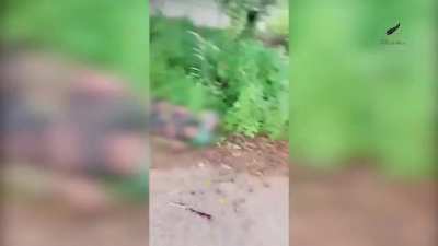 Rebels Belonging to the Karenni Nationalities Defense Force B-14 Ambush Myanmar Junta Army Soldiers near Loikaw (the capital of Kayah/Karenni State) [November 28]