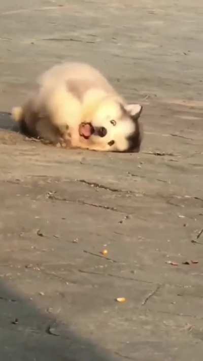 They are just so adorable!