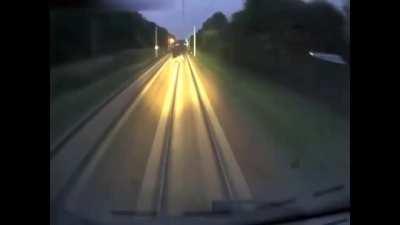 Moose gets f**ked up by a train