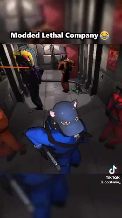 PedroDBR - Video #9382