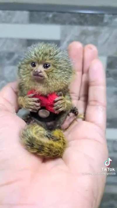 What a cute little baby