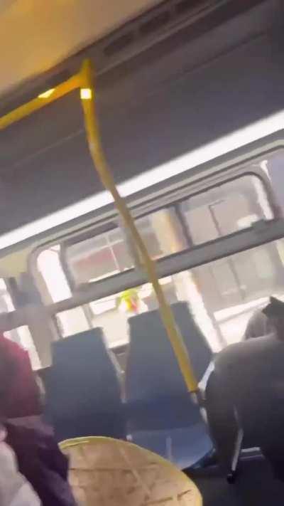 Woman barks at a man for playing music without headphones on the bus