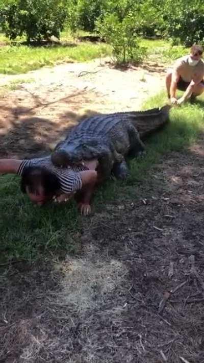 Cocodrilo con reflujo