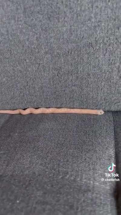 Hope you all love this video as much as I did