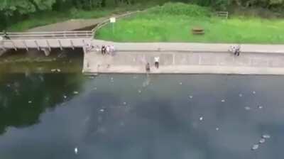 A drone with a fainting battery captures the most epic short film ever made.