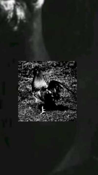 Craziest theatre reaction yet?